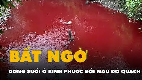 Một dòng suối ở Bình Phước bất ngờ đổi màu đỏ quạch, nghi ngờ bị ‘đầu độc’