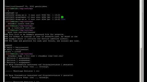 SVN delete revision