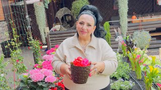 МОЙ САД ПОСЛЕ ГРАДА! Град в Пятигорске 28.05.2026. #арусякавказ 