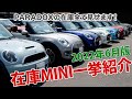 在庫MINI一挙紹介2022年6月版【PARADOXの在庫全て見せます】