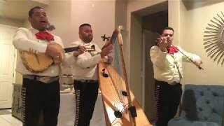 Miniatura de vídeo de "Amor Eterno Mariachi Generacion De Sacramento"