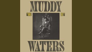 Video thumbnail of "Muddy Waters - Deep Down in Florida #2"