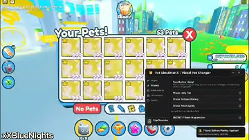 Psx Visual Pet Changer Script! | L1ght Hub | Free