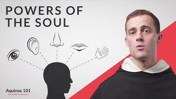 Powers of the Soul: A First Look (Aquinas 101)