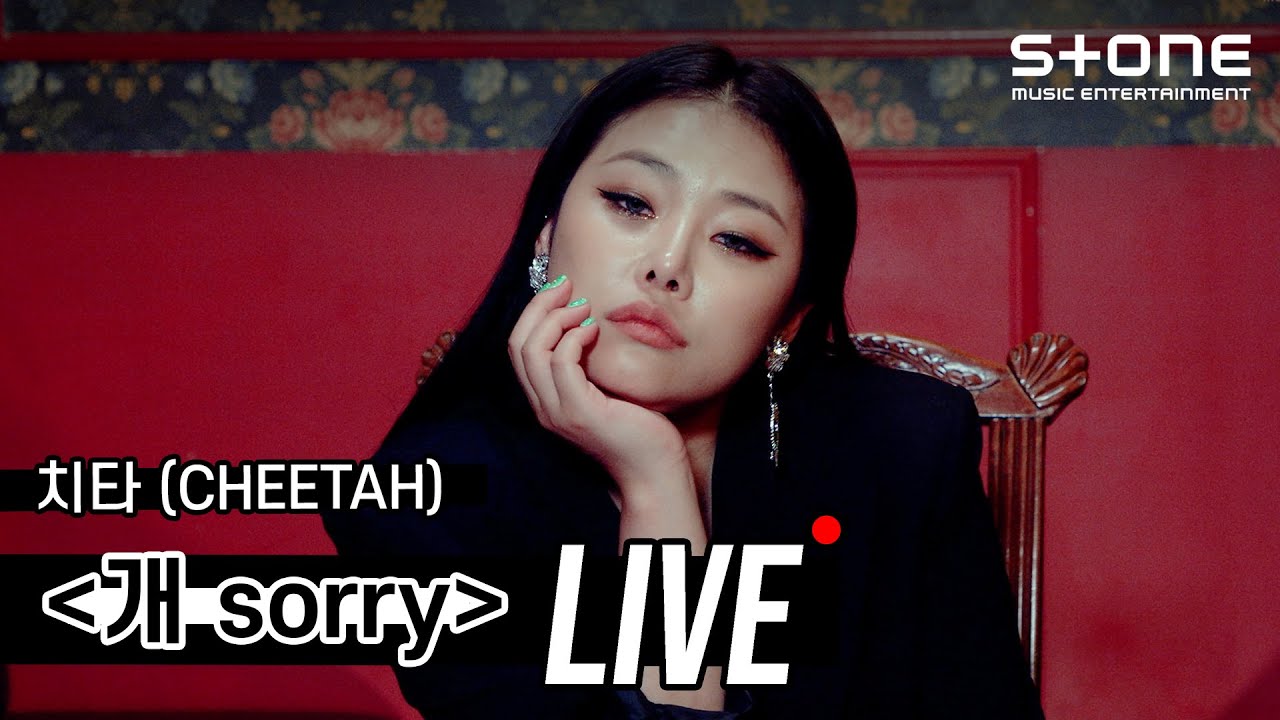 [Stone LIVE] 치타 - 개 Sorry ｜ CHEETAH, So Sorry, 라이브