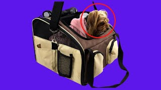 Before You Buy Heartland Pet Products Soft Sided Car Seat Carrier for Tiny Dogs Cats Up to 10 lbs screenshot 4