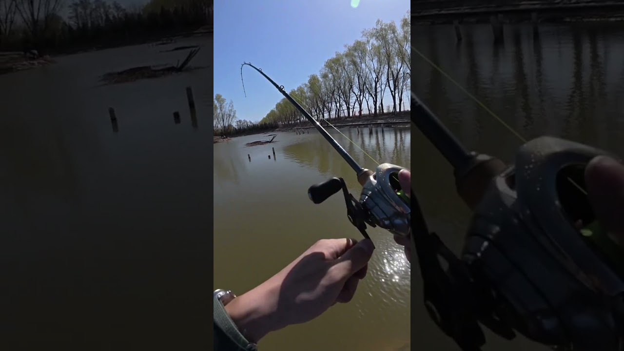 Still in the same fishing spot 