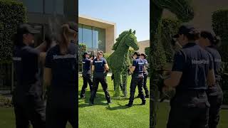 Backyard Upgrade Centered Around a Horse Topiary Masterpiece