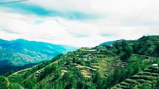 Consti Law Review 1 Cases | Part 4