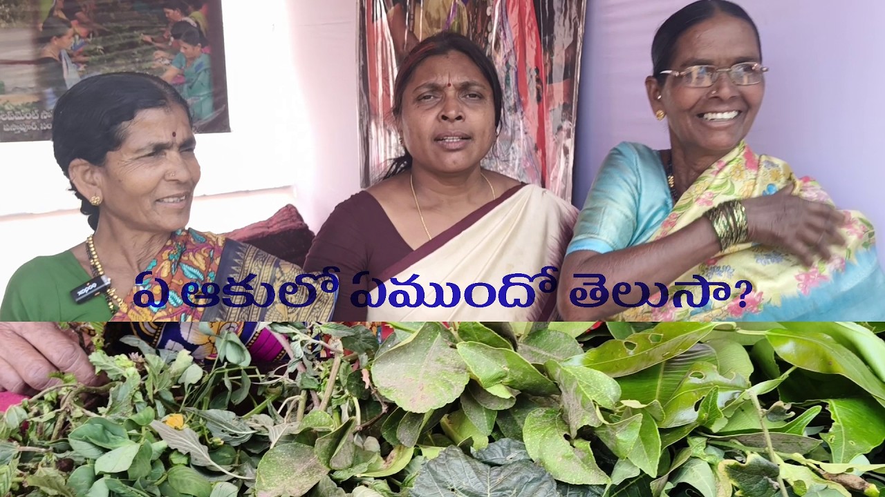 ఏ ఆకులో ఏముందో తెలుసా ? || snacksbutta ||