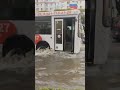 НЕФАЗ 48 маршрут по потопу