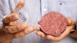 Lab-grown chicken becomes a reality in California HD video Image of Lab-grown chicken becomes a reality in California HD video