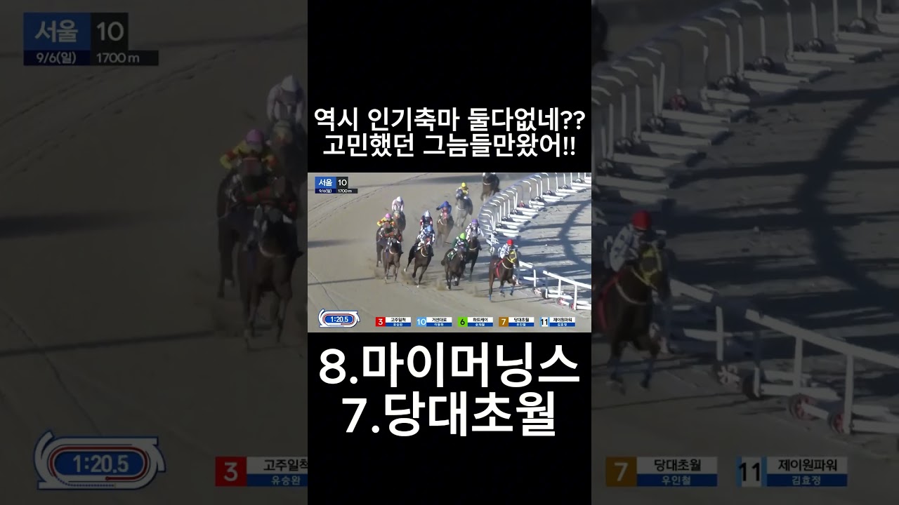 역시 인기마 둘다없네??  #경마  #경마예상  #경마방송  #경마예상방송  #서울경마  #금요경마  #토요경마  #일요경마 #경마장