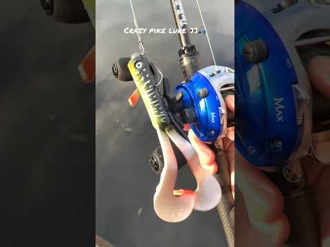 Lmab 15cm Drunkbait Fishing Shorts