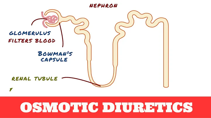 Osmotic Diuretics - Mannitol