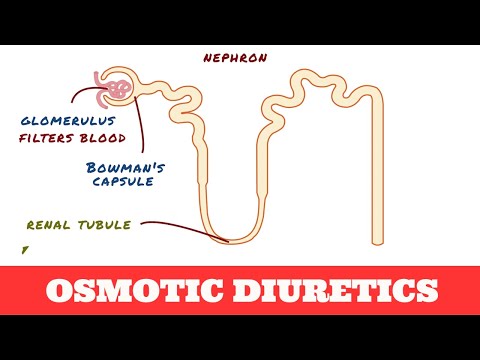 Osmotic Diuretics - Mannitol