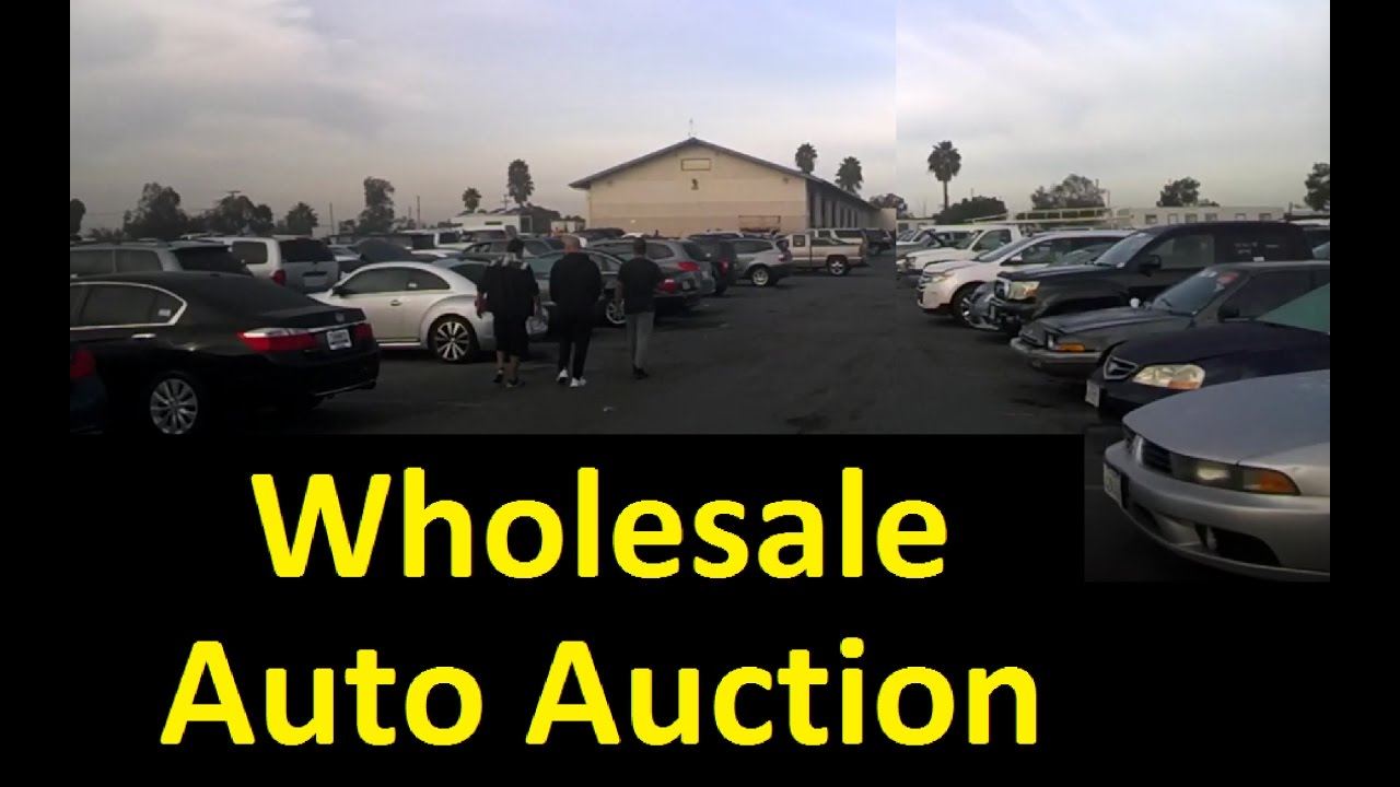 Wholesale Auto Auction Car Preview Video Bidding Live & Online Buy