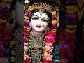 Radhe radh