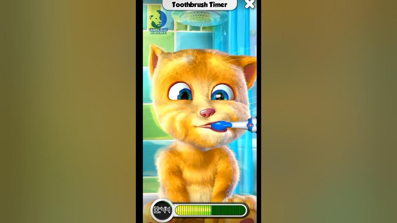 Talking Ginger Cat Game Funny video games gaming gameplay YouTube