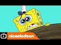 Spongebob squarepants  afraid of heights  nickelodeon uk