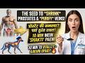 मर्दों के लिए 6 'Super Seeds' एनर्जी और Blood Flow बढ़ाने का असली राज 💎💪