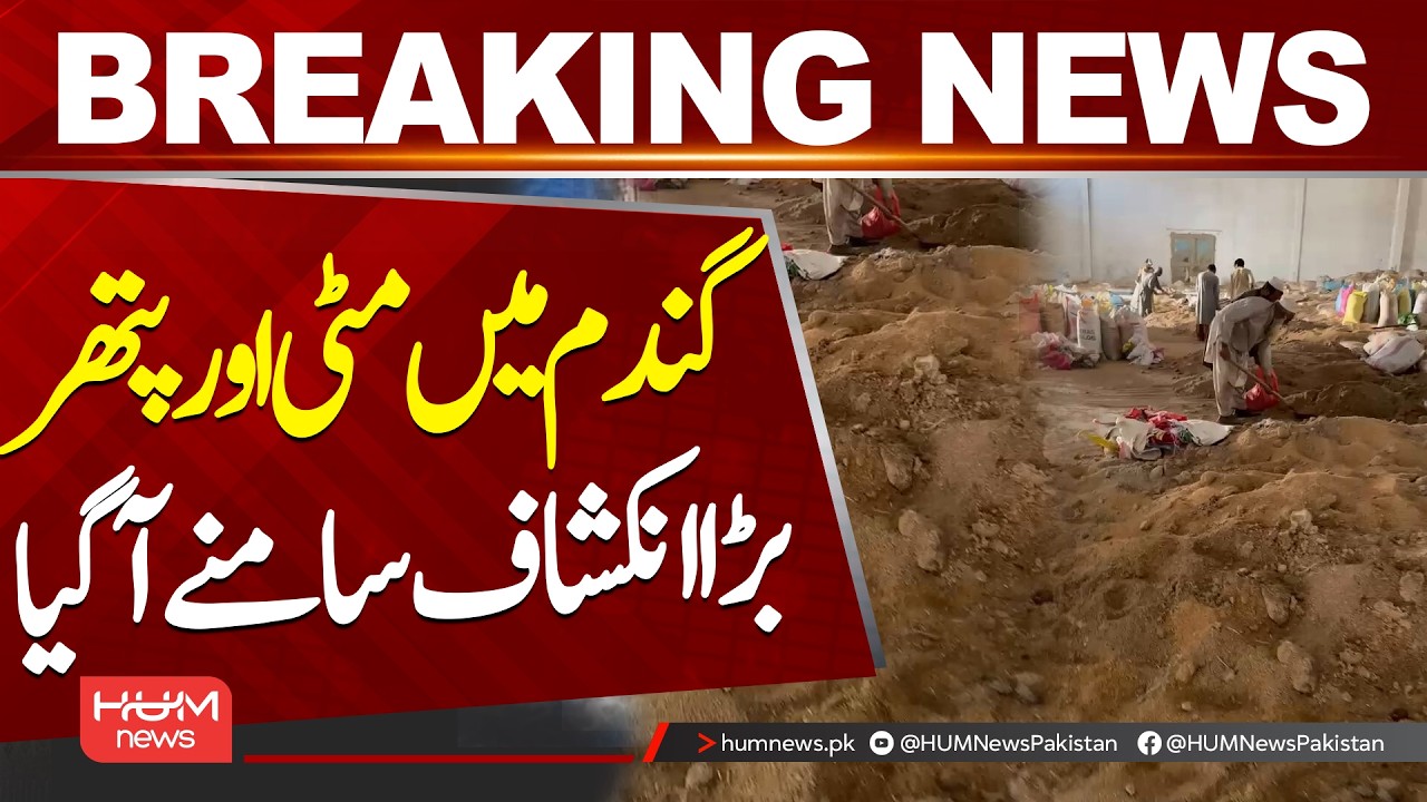Major Raid at Azakhel Wheat Depot in Peshawar | Dirt and Stones Found Mixed in Wheat| Hum News |