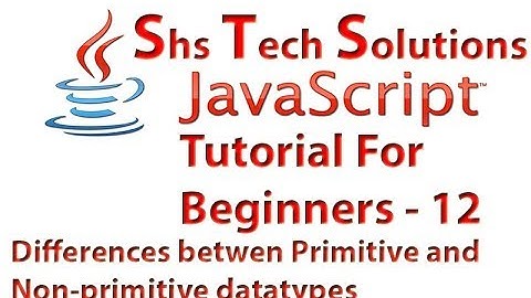 JavaScript Tutorial For Beginners - 12 | Differences between Primitive and Non primitive datatypes