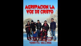 Viajando Voy (Agrupacion La Voz de Cristo) Solista Artemio [New CD]2018