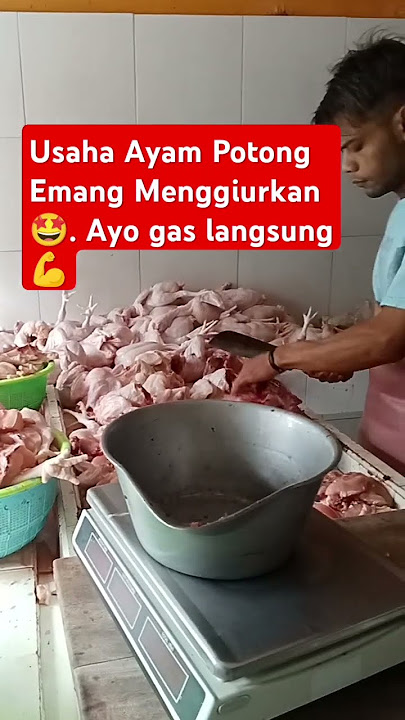 Usaha Ayam Potong Memang Menguntungkan 🤩 #ayampotong #ayamgeprek