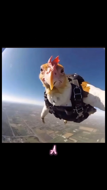 Dazzling photos that will blow your mind away #rareimages #viral #shorts