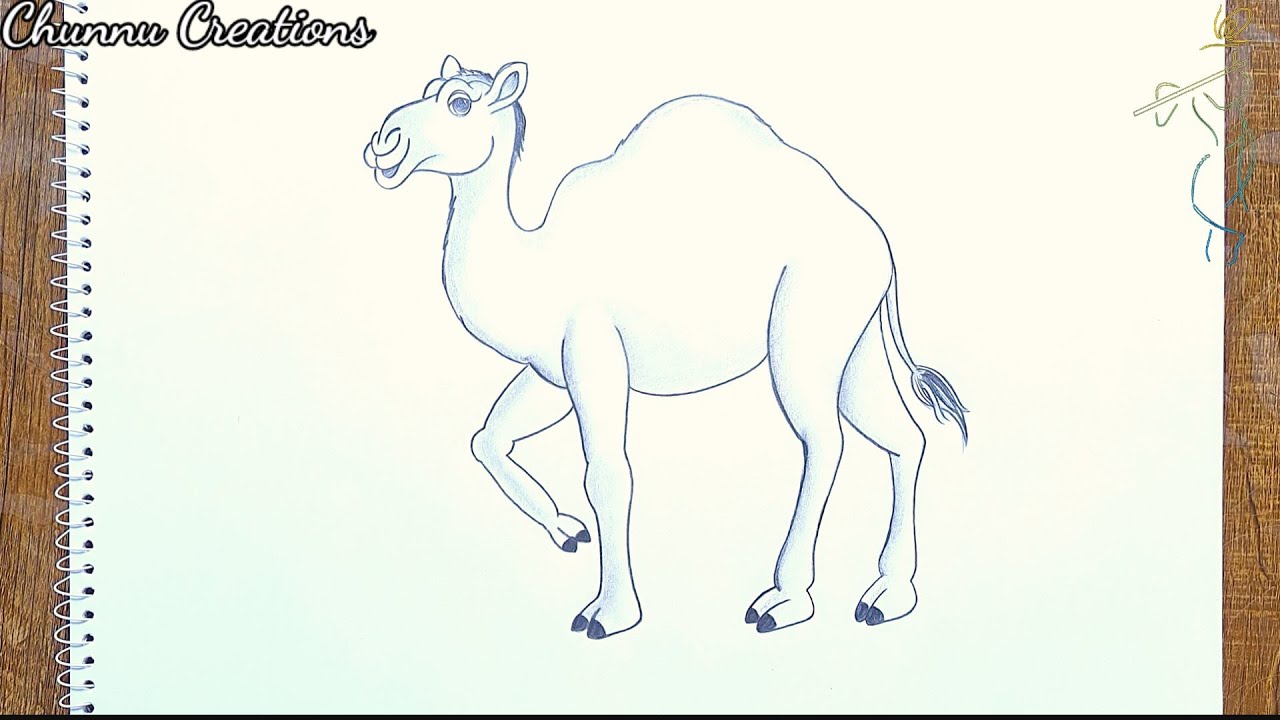 How to draw a Camel step by step || Camel drawing easy - YouTube