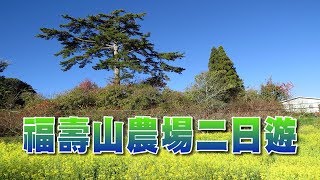 福壽山農場二日遊