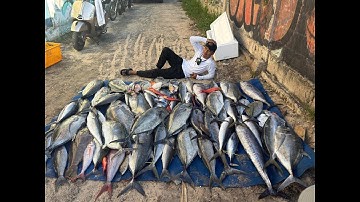 Câu 2 ngày 3 tạ cá - full | Jigging Phú Quý 2025