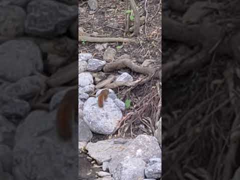 #humberrivertrails #hotday #drinkwater #toronto #10000stepsaday