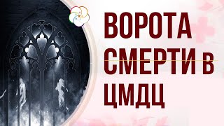 Чтение ЖИЗНИ ЦМДЦ: Как монетизировать ВОРОТА СМЕРТИ в карте Ци Мэнь Дунь Цзя человека