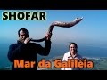 Shofar de antilope Israel Mar da Galiléia