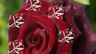 Amin Inşallah