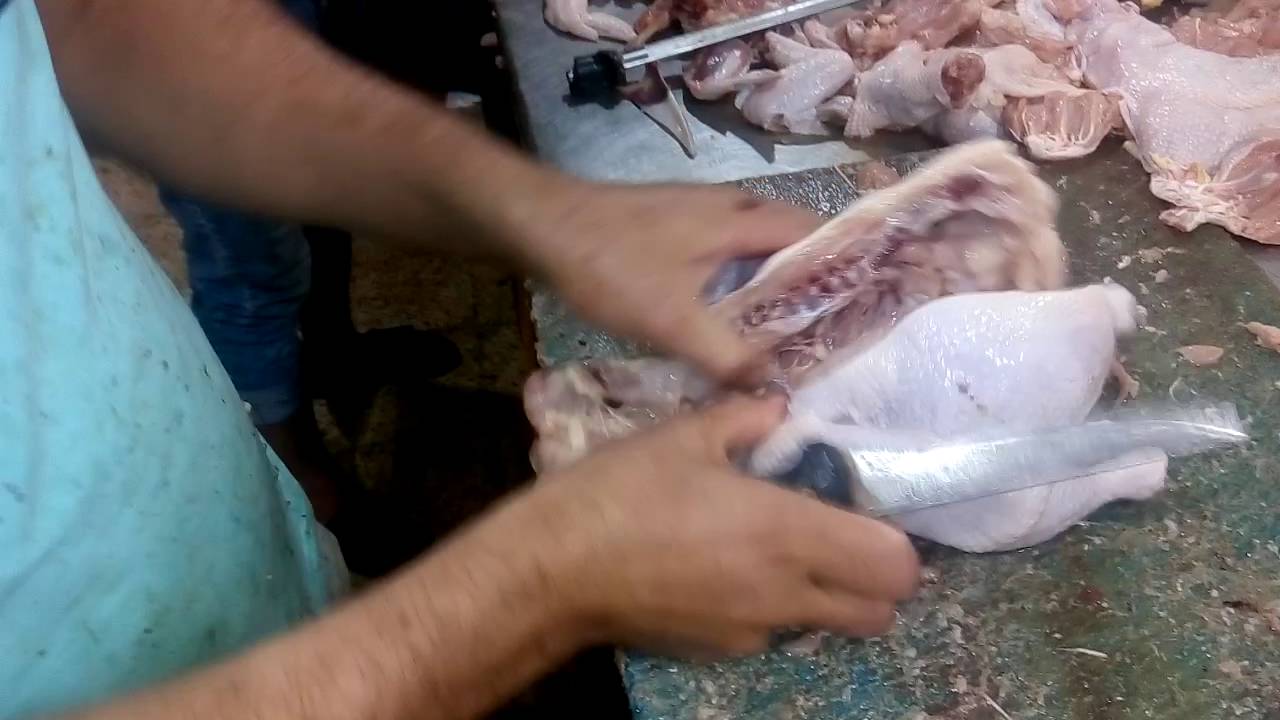 بالخطوات البطيئة تعليم خلي الفرخه في اقل من دقيقة مع الدولي العالمي عيد سينا ﻻ تنسي ﻻيك واشتراك