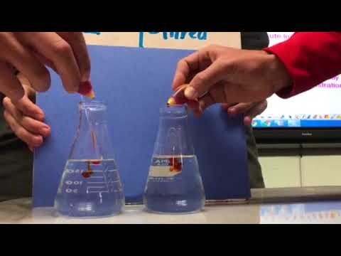 Solubility Factors-Stirring