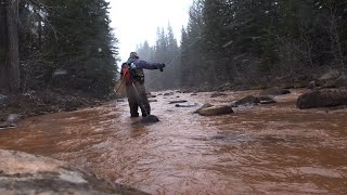 Fly-Fishing: Daily Snow, Uintas