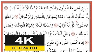 00581 Sâd Sûresi 17-26. Ayetler - Muhammed Eyyup - محمد أيوب - (Yavaş Okuma)