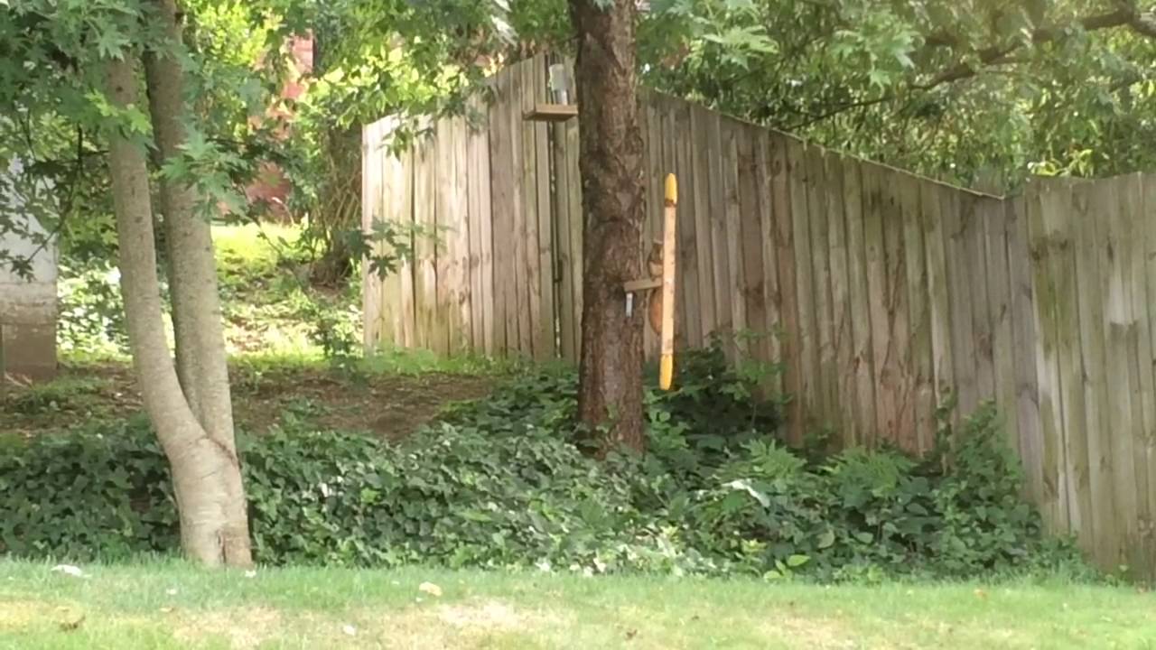 My Homemade Squirrel Feeder Youtube