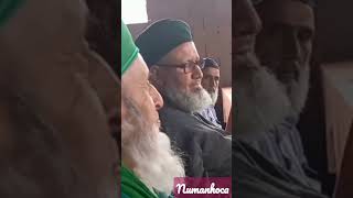 Dertsiz Gamsız Biriyim