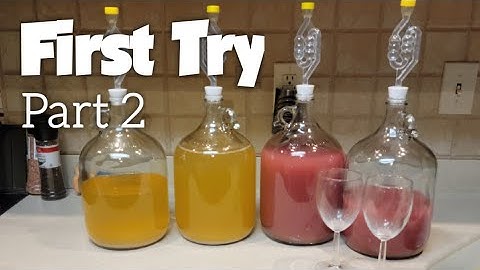 Learning To Make Muscadine Wine For The First Time. Part 2