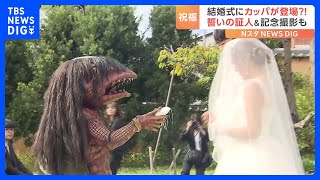 結婚式の証人はカッパ？！指輪を運んで新郎新婦を祝福！なぜかファーストバイトも…｜TBS NEWS DIG