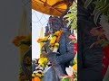 Jagat Bhari 19 February  #chatrapatishivajimaharaj#jayshivray #chhatrapati #swarajya#raje #raigad