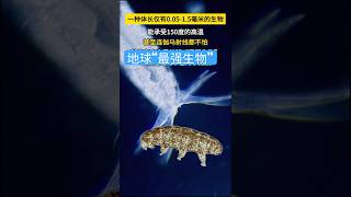 Trypophobia caution! Earth's 'strongest creature' #universe #space #planet #science #Baidu Encycl...