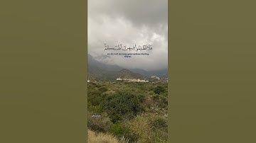 ‏تلاوة الشيخ ماهر المعيقلي ￼