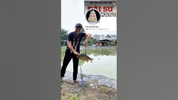Câu Cá Chim Hồ Đài Sư Biên Hoà #Tứngđicâu #Mồicáchimbể  #câucá #tậpcâucá #giảitrí #fishing