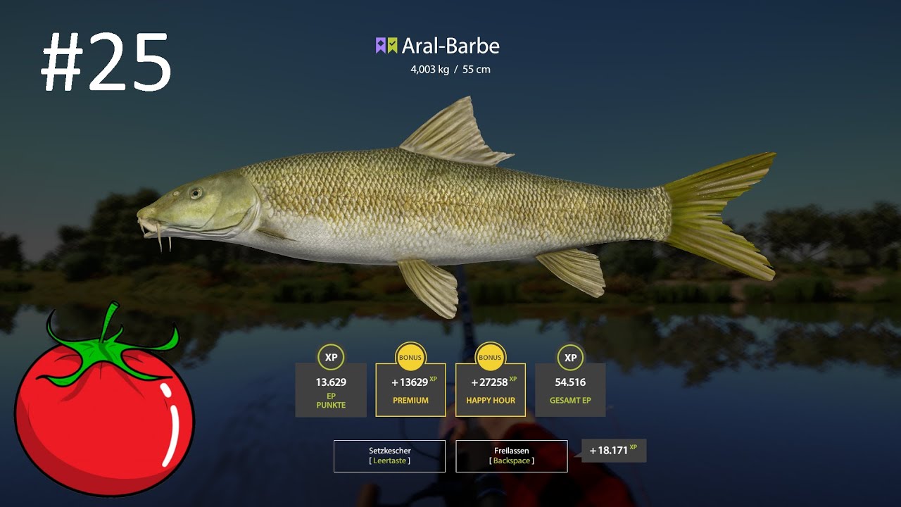 Aral Barbe mit gutem Beifang | Russian Fishing 4 #25